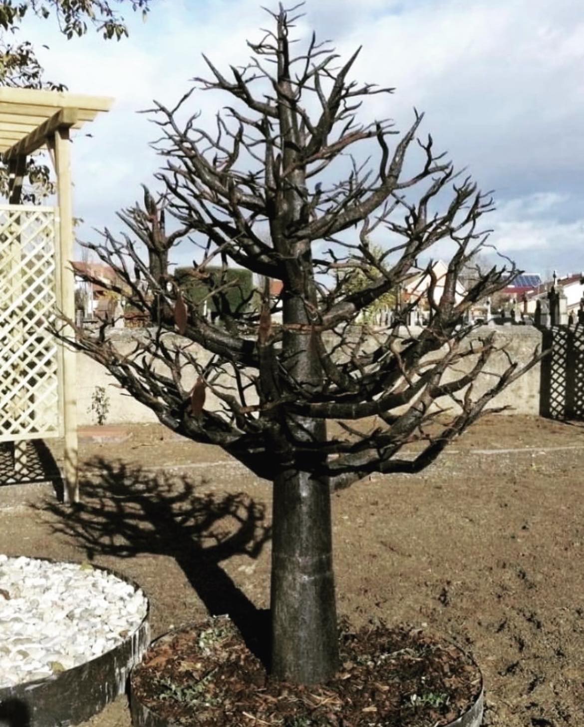 Sculpture métallique artisanale Origines grand arbre de vie en acier recyclé